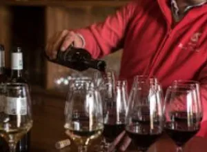 Magia y poesía: propuestas de Ribera del Guadiana en el Día Europeo del Enoturismo