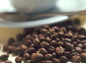El café más caro del mundo proviene de los gatos.