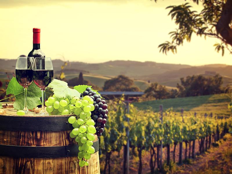 vinos italianos-Vinitaly
