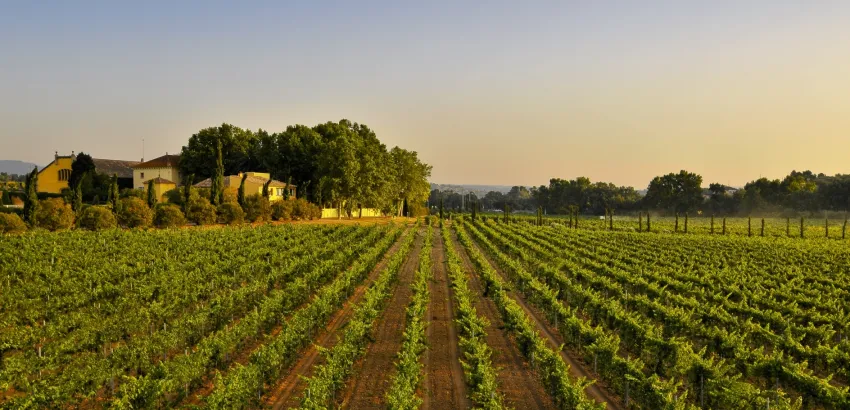 Familia Torres-villedos-Penedes