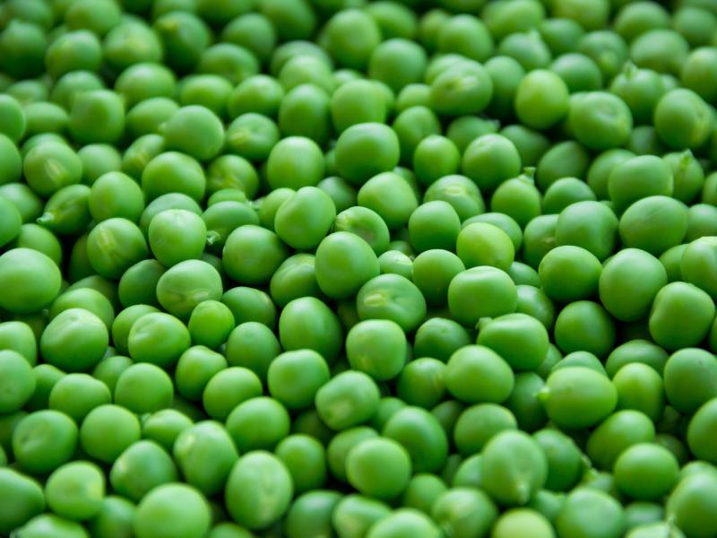 guisantes