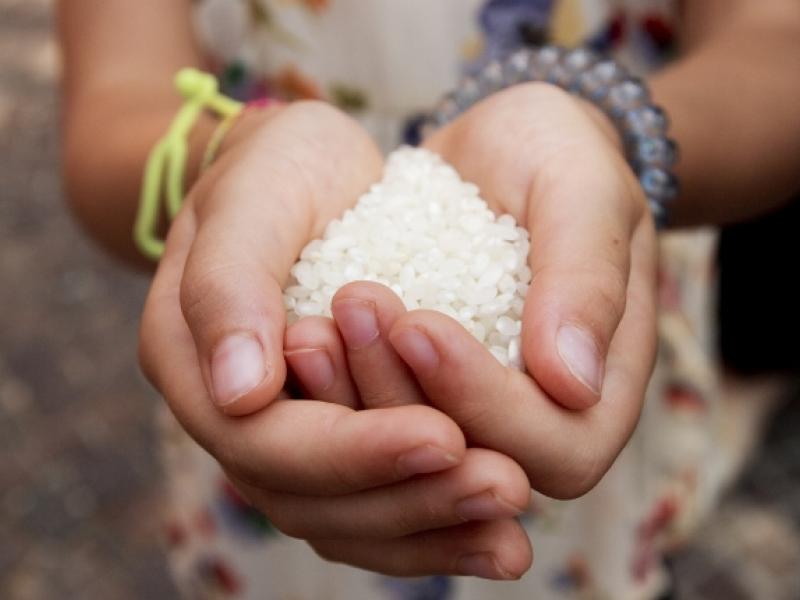 significado cultural de los alimentos