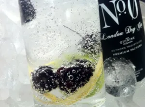 Siete trucos y 2 recetas para un gin tonic perfecto
