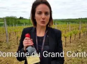 Gascuña, tierra de D’Artagnan, los Mosqueteros y del Armagnac
