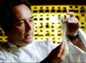 Un alemán prueba la gastronomía molecular y pierde sus dos manos