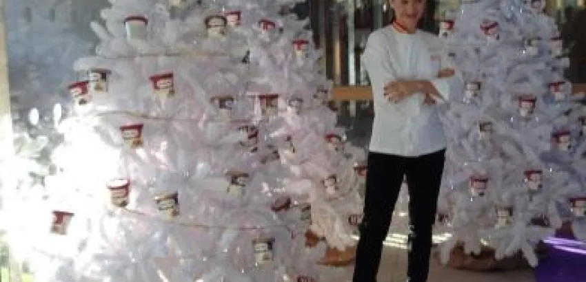 HAAGEN - DAZS y su exclusiva tarta helada HAAGEN - DAZS y su exclusiva tarta helada