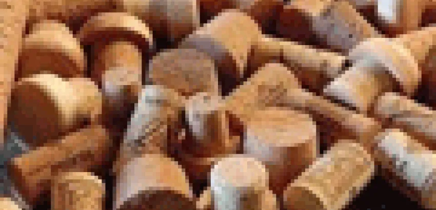¿El tapón de corcho para el vino puede morir? ¿El tapón de corcho para el vino puede morir?