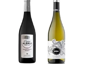 Los vinos Félix Solís Avantis premiados