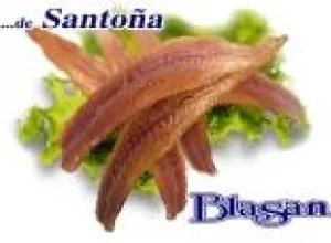 La primera anchoa cantábrica 2014 se presenta en Valladolid
