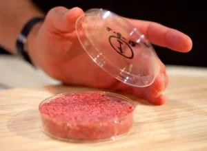 ¿Estarían los consumidores dispuestos a comer carne de laboratorio regularmente?