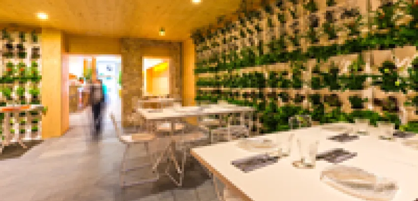“Vuelve Carolina”, la moda de los Gastrobares en Valencia “Vuelve Carolina”, la moda de los Gastrobares en Valencia
