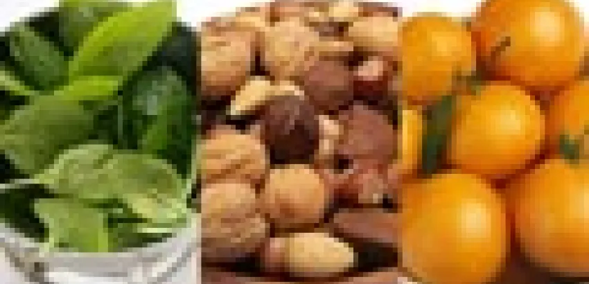Alimentos para prevenir la caída del cabello