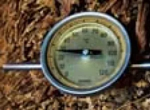 La Conservación de los Habanos