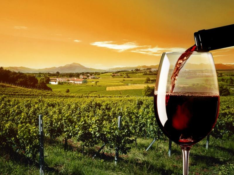 Premios Internacionales ENO-T Wine&Tourism