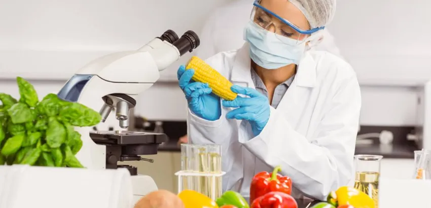 Turismo gastronomico 