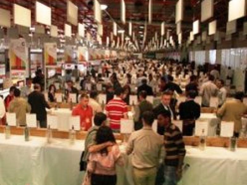 FENAVIN 2013 impulsa el negocio en medio de la crisis