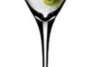 ¿Cómo surgió el Coctel Martini?