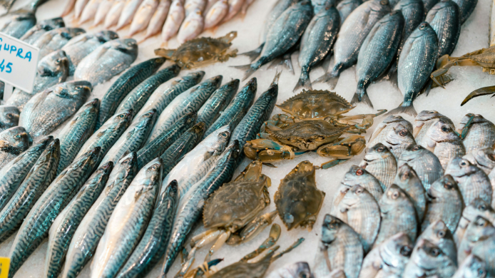 Mostrador de una pescadería con una amplia selección de pescado azul fresco, entre ellos caballas, jureles y otros pescados de temporada, una de las mejores fuentes naturales de ácidos grasos omega 3 dentro de la dieta mediterránea.