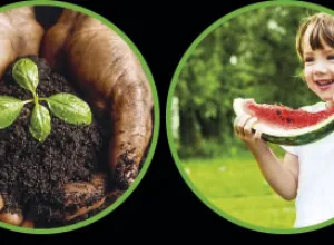 La nueva gastronomía saludable, solidaria, sostenible y satisfactoria
