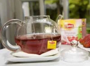 Diez dudas sobre el té 