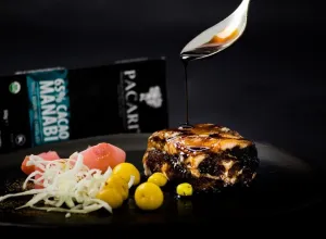 azucar de coco-glaseadp-BBQ-de-chocolate