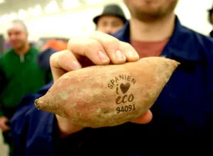 Una cadena sueca de supermercados ecológicos introduce el etiquetado láser en los alimentos