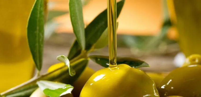 Convocado el Premio Alimentos de España Aceites de Oliva Virgen Extra