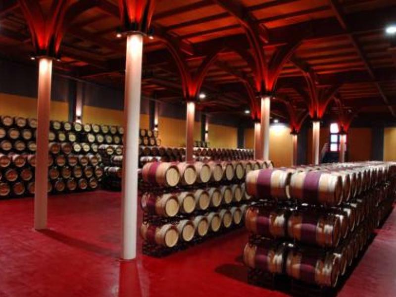 Aumentan las bodegas pero disminuyen los viñedos en La Mancha