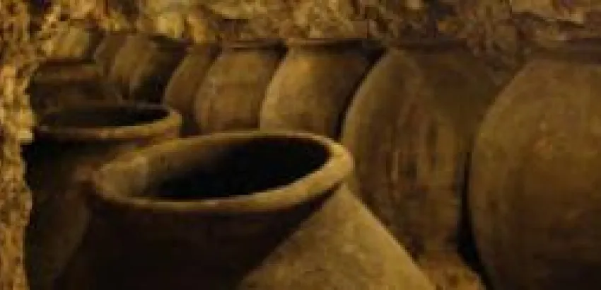 Los tours de bodegas de Gourmet Madrid entre los 10 mejores de Europa Los tours de bodegas de Gourmet Madrid entre los 10 mejores de Europa