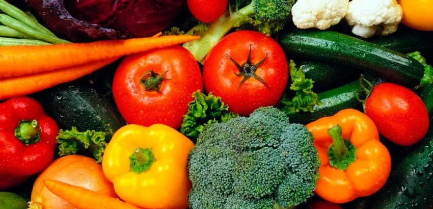 exportaciones agroalimentarias