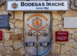 fuente de vino