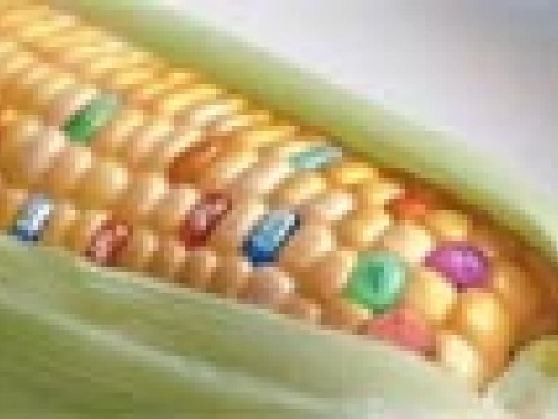 Los alimentos transgénicos siguen siendo rechazados por los consumidores