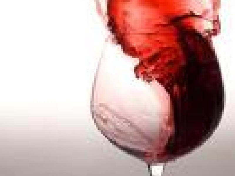 La Feria del Vino Ecológico se consolida como referente del sector
