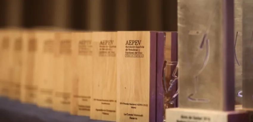 XVI Premios AEPEV XVI Premios AEPEV