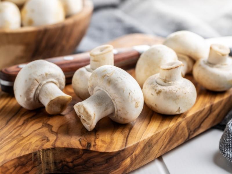 hongos comestibles