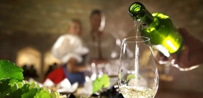 El Vino Checo, un gran desconocido