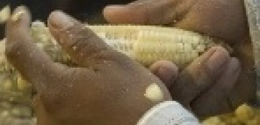 América Latina aspira a convertirse en la mayor proveedora de alimentos del mundo