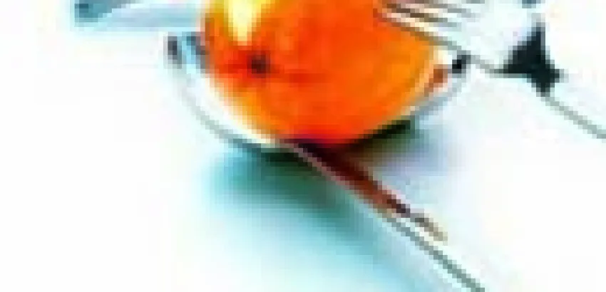 Historia de la cuchara y el tenedor Historia de la cuchara y el tenedor