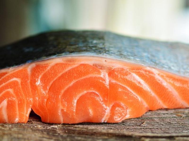 salmón