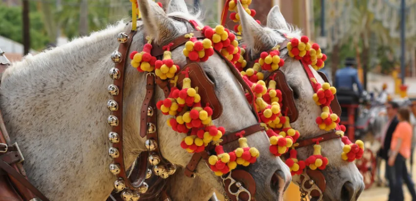 Gastronomía en la Feria del Caballo de Jerez: tradición andaluza a ritmo de caseta Gastronomía en la Feria del Caballo de Jerez