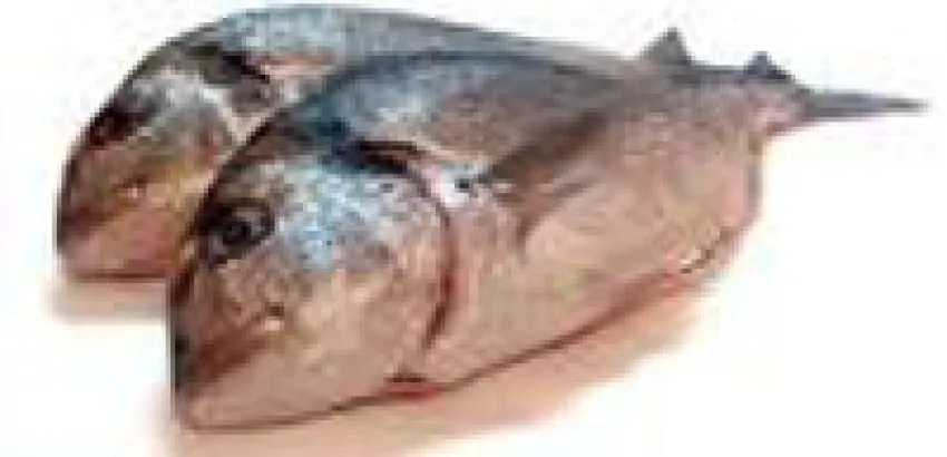España organiza “La Semana del Pescado” para fomentar una dieta sana y equilibrada España organiza “La Semana del Pescado” para fomentar una dieta sana y equilibrada