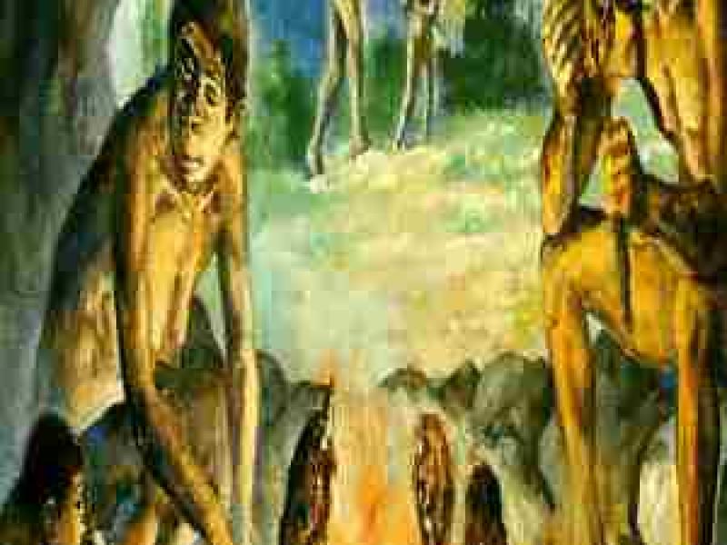 El Homo Erectus domesticó el fuego