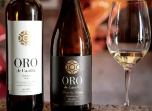 Bodega Oro de Castilla: 9 vinos con más de 90 puntos en Vinous