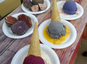 La innovación palpita en el corazón de Mistura