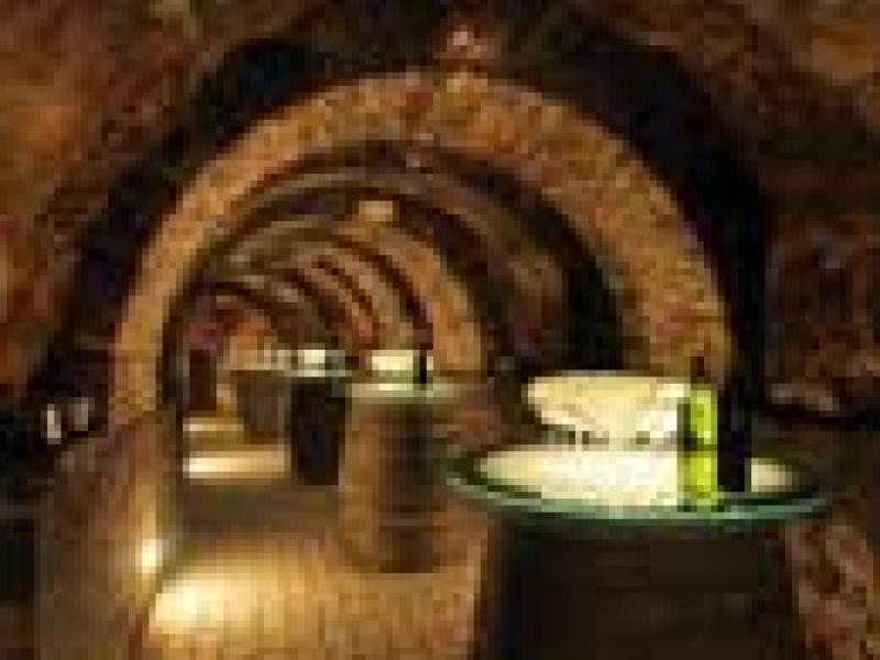 Enoturismo abre el año en Barcelona
