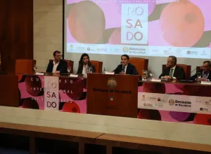 congreso-rosado