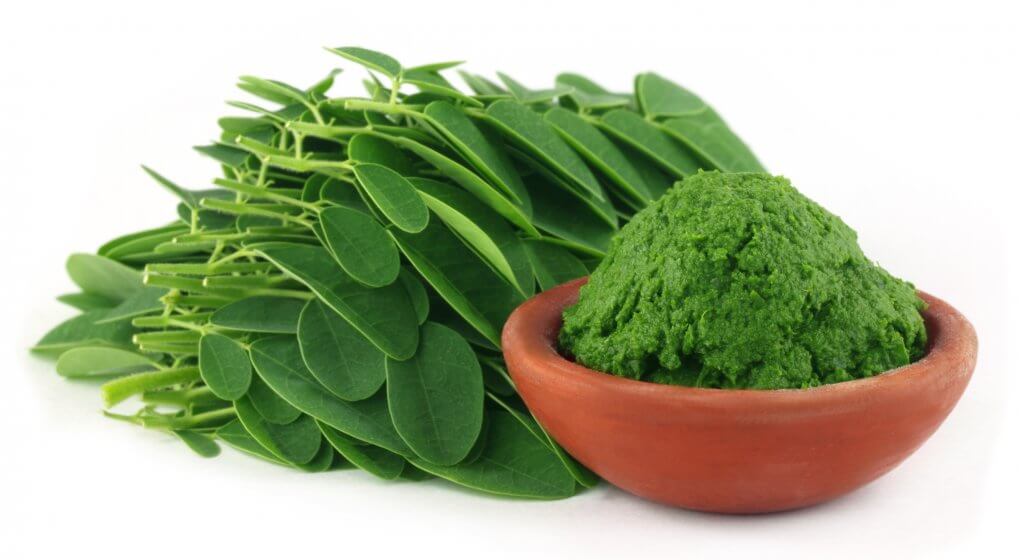 moringa-hojas-infusiones saludables