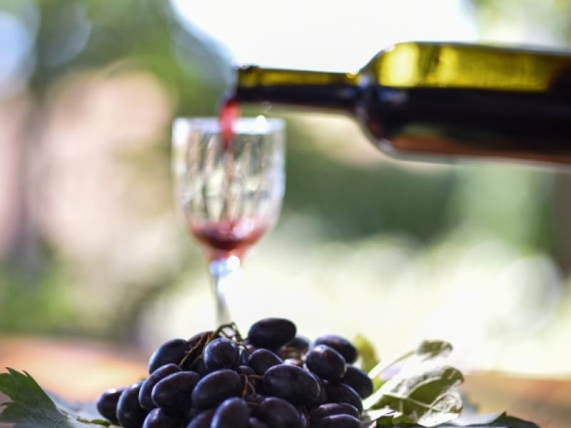 vino-organico