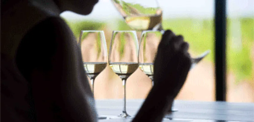 La Ruta del Vino de Rueda participa en FITUR con una propuesta de marketing sensorial La Ruta del Vino de Rueda participa en FITUR con una propuesta de marketing sensorial