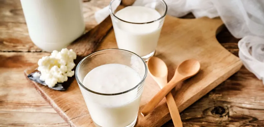alimentos fermentados